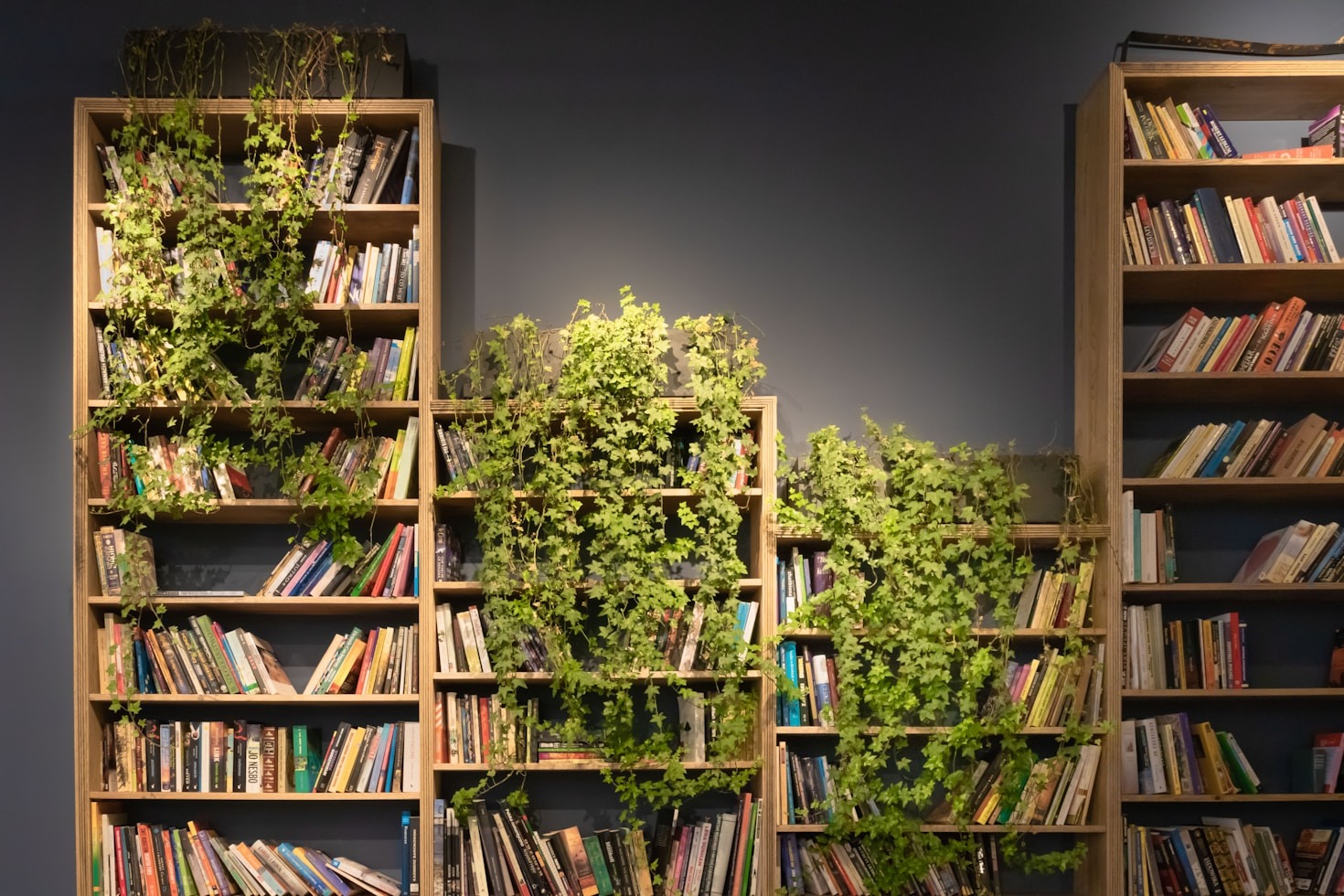 Finding Yourself Through the Magic of Literature